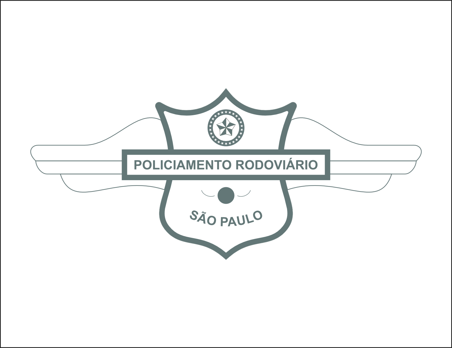 Policiamento Rodovirio